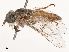  ( - CBG-B02477-F05)  @11 [ ] CreativeCommons - Attribution Share - Alike (2025) CBG Photography Group Centre for Biodiversity Genomics