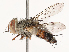  ( - CBG-B02477-F07)  @11 [ ] CreativeCommons - Attribution Share - Alike (2025) CBG Photography Group Centre for Biodiversity Genomics