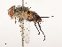  ( - CBG-B02477-F09)  @11 [ ] CreativeCommons - Attribution Share - Alike (2025) CBG Photography Group Centre for Biodiversity Genomics