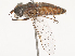  ( - CBG-B00906-D06)  @11 [ ] CreativeCommons - Attribution Share - Alike (2025) CBG Photography Group Centre for Biodiversity Genomics