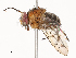  ( - CBG-B01169-F04)  @11 [ ] CreativeCommons - Attribution Share - Alike (2025) CBG Photography Group Centre for Biodiversity Genomics