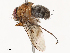  ( - CBG-B01174-C06)  @11 [ ] CreativeCommons - Attribution Share - Alike (2025) CBG Photography Group Centre for Biodiversity Genomics