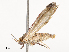  ( - CBG-B02479-D01)  @11 [ ] CreativeCommons - Attribution Share - Alike (2025) CBG Photography Group Centre for Biodiversity Genomics