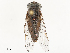  ( - CBG-B02484-A02)  @11 [ ] CreativeCommons - Attribution Share - Alike (2025) CBG Photography Group Centre for Biodiversity Genomics