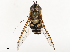  ( - CBG-B02484-A03)  @11 [ ] CreativeCommons - Attribution Share - Alike (2025) CBG Photography Group Centre for Biodiversity Genomics
