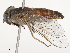  ( - CBG-B02484-A04)  @11 [ ] CreativeCommons - Attribution Share - Alike (2025) CBG Photography Group Centre for Biodiversity Genomics