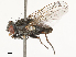  ( - CBG-B02484-B09)  @11 [ ] CreativeCommons - Attribution Share - Alike (2025) CBG Photography Group Centre for Biodiversity Genomics