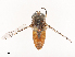  ( - CBG-B02489-B08)  @11 [ ] CreativeCommons - Attribution Share - Alike (2025) CBG Photography Group Centre for Biodiversity Genomics