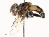  ( - CBG-B02493-H07)  @11 [ ] CreativeCommons - Attribution Share - Alike (2025) CBG Photography Group Centre for Biodiversity Genomics