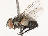  ( - CBG-B02496-E11)  @11 [ ] CreativeCommons - Attribution Share - Alike (2025) CBG Photography Group Centre for Biodiversity Genomics