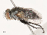  ( - CBG-B02496-F10)  @11 [ ] CreativeCommons - Attribution Share - Alike (2025) CBG Photography Group Centre for Biodiversity Genomics