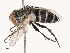  ( - CBG-B02496-F11)  @11 [ ] CreativeCommons - Attribution Share - Alike (2025) CBG Photography Group Centre for Biodiversity Genomics