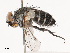  ( - CBG-B02496-G01)  @11 [ ] CreativeCommons - Attribution Share - Alike (2025) CBG Photography Group Centre for Biodiversity Genomics