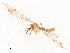  ( - CBG-B03941-H11)  @11 [ ] CreativeCommons - Attribution Share - Alike (2025) CBG Photography Group Centre for Biodiversity Genomics