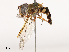  ( - CBG-B04128-C03)  @11 [ ] CreativeCommons - Attribution Share - Alike (2025) CBG Photography Group Centre for Biodiversity Genomics
