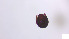  ( - RE21-AT1-ORI-0164)  @11 [ ] CreativeCommons - Attribution Non-Commercial (by-nc) (2021) Unspecified Technischer Universität Darmstadt