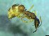  ( - bf-for-00022)  @11 [ ] CreativeCommons - Attribution Share-Alike (2016) Olsen, K.M. BioFokus