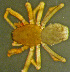  ( - TRD-ARA158)  @14 [ ] CreativeCommons - Attribution Non-Commercial Share-Alike (2014) Arne Fjellberg Arne Fjellberg Entomological Research