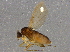  ( - BIOUG02711-E12)  @13 [ ] CreativeCommons - Attribution (2014) CBG Photography Group Centre for Biodiversity Genomics