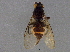  ( - BIOUG02711-G12)  @12 [ ] CreativeCommons - Attribution (2014) CBG Photography Group Centre for Biodiversity Genomics