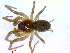  ( - BIOUG02607-B09)  @13 [ ] CreativeCommons - Attribution (2011) M. Alex Smith Centre for Biodiversity Genomics