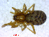  ( - BIOUG02607-G06)  @12 [ ] CreativeCommons - Attribution (2011) M. Alex Smith Centre for Biodiversity Genomics