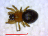  ( - BIOUG02607-H04)  @12 [ ] CreativeCommons - Attribution (2011) M. Alex Smith Centre for Biodiversity Genomics