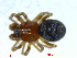  ( - BIOUG02680-G12)  @12 [ ] CreativeCommons - Attribution (2012) M. Alex Smith Centre for Biodiversity Genomics