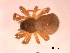  ( - BIOUG07490-A06)  @12 [ ] CreativeCommons - Attribution (2013) M. Alex Smith Centre for Biodiversity Genomics