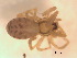  ( - BIOUG07490-D03)  @12 [ ] CreativeCommons - Attribution (2013) M. Alex Smith Centre for Biodiversity Genomics
