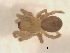  ( - BIOUG07490-D06)  @13 [ ] CreativeCommons - Attribution (2013) M. Alex Smith Centre for Biodiversity Genomics