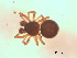  ( - BIOUG07490-E11)  @12 [ ] CreativeCommons - Attribution (2013) M. Alex Smith Centre for Biodiversity Genomics