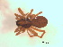  ( - BIOUG07490-G08)  @12 [ ] CreativeCommons - Attribution (2013) M. Alex Smith Centre for Biodiversity Genomics