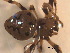  ( - BIOUG07490-G09)  @12 [ ] CreativeCommons - Attribution (2013) M. Alex Smith Centre for Biodiversity Genomics