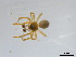  ( - BIOUG09324-H11)  @12 [ ] CreativeCommons - Attribution (2011) M. Alex Smith Centre for Biodiversity Genomics