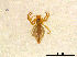  ( - BIOUG01027-E04)  @12 [ ] CreativeCommons - Attribution Non-Commercial Share-Alike (2015) M. Alex Smith Research Collection of M. Alex Smith