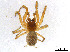  ( - BIOUG01027-G10)  @13 [ ] CreativeCommons - Attribution Non-Commercial Share-Alike (2015) M. Alex Smith Research Collection of M. Alex Smith