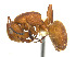 ( - CCDB-32045-A02)  @14 [ ] CreativeCommons  Attribution Non-Commercial Share-Alike (2018) M. Alex Smith University of Guelph