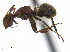  ( - CCDB-32045-C09)  @13 [ ] CreativeCommons  Attribution Non-Commercial Share-Alike (2018) M. Alex Smith University of Guelph
