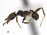  ( - CCDB-32045-D01)  @13 [ ] CreativeCommons  Attribution Non-Commercial Share-Alike (2018) M. Alex Smith University of Guelph
