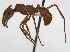  ( - CCDB-32045-D06)  @13 [ ] CreativeCommons  Attribution Non-Commercial Share-Alike (2018) M. Alex Smith University of Guelph