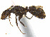  ( - CCDB-32045-D08)  @13 [ ] CreativeCommons  Attribution Non-Commercial Share-Alike (2018) M. Alex Smith University of Guelph