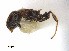  ( - CCDB-32045-E11)  @12 [ ] CreativeCommons  Attribution Non-Commercial Share-Alike (2018) M. Alex Smith University of Guelph