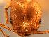  ( - MAS122-07)  @12 [ ] Unspecified (default): All Rights Reserved  Unspecified Unspecified