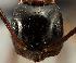  ( - MAS133-07)  @12 [ ] Unspecified (default): All Rights Reserved  Unspecified Unspecified