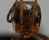  ( - MAS142-07)  @12 [ ] Unspecified (default): All Rights Reserved  Unspecified Unspecified