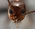  ( - MAS150-07)  @12 [ ] Unspecified (default): All Rights Reserved  Unspecified Unspecified