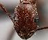  ( - MAS159-07)  @12 [ ] Unspecified (default): All Rights Reserved  Unspecified Unspecified