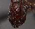  ( - MAS430-06)  @12 [ ] Unspecified (default): All Rights Reserved  Unspecified Unspecified