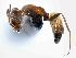  ( - MAS158-07)  @13 [ ] Unspecified (default): All Rights Reserved  Unspecified Unspecified